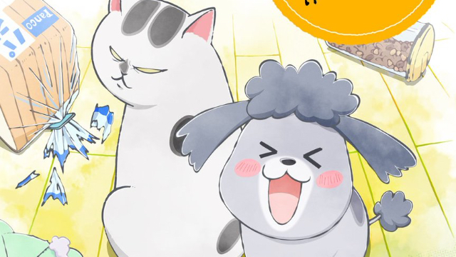 エッセイ漫画「犬と猫どっちも飼ってると毎日たのしい」TVアニメ化決定！キャストは花澤香菜さん＆杉田智和さんら