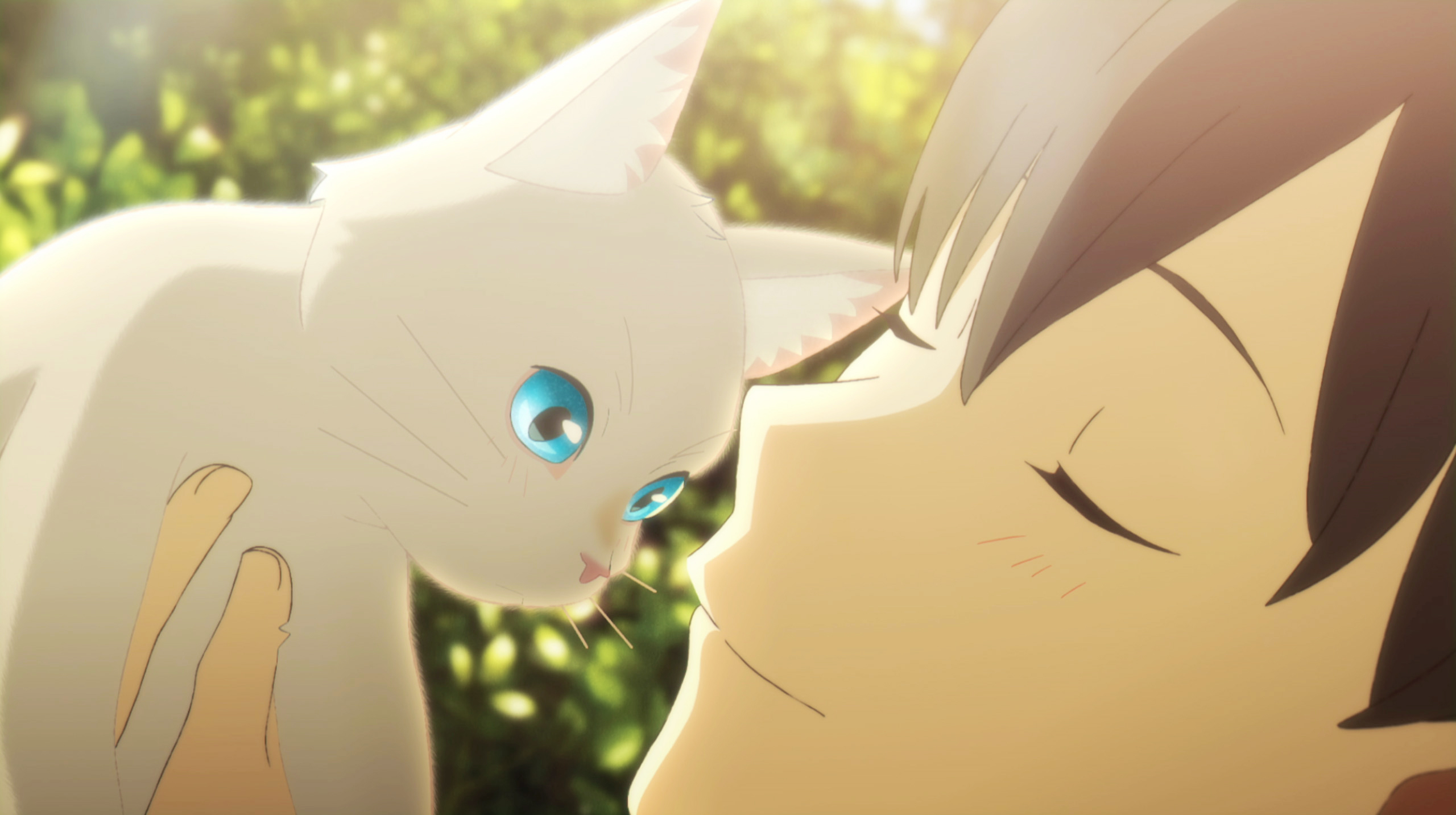 Netflixアニメ映画『泣きたい私は猫をかぶる』初解禁の本編シーンを含む特別映像公開！