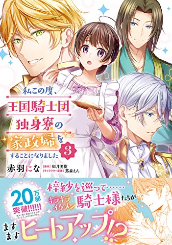 私この度、王国騎士団独身寮の家政婦をすることになりました(3)