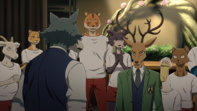 冬アニメ「BEASTARS」第2期先行カット＆あらすじ公開！平穏な学園生活を取り戻すも、学園にルイ先輩がいない…