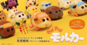 PUI PUI モルカー