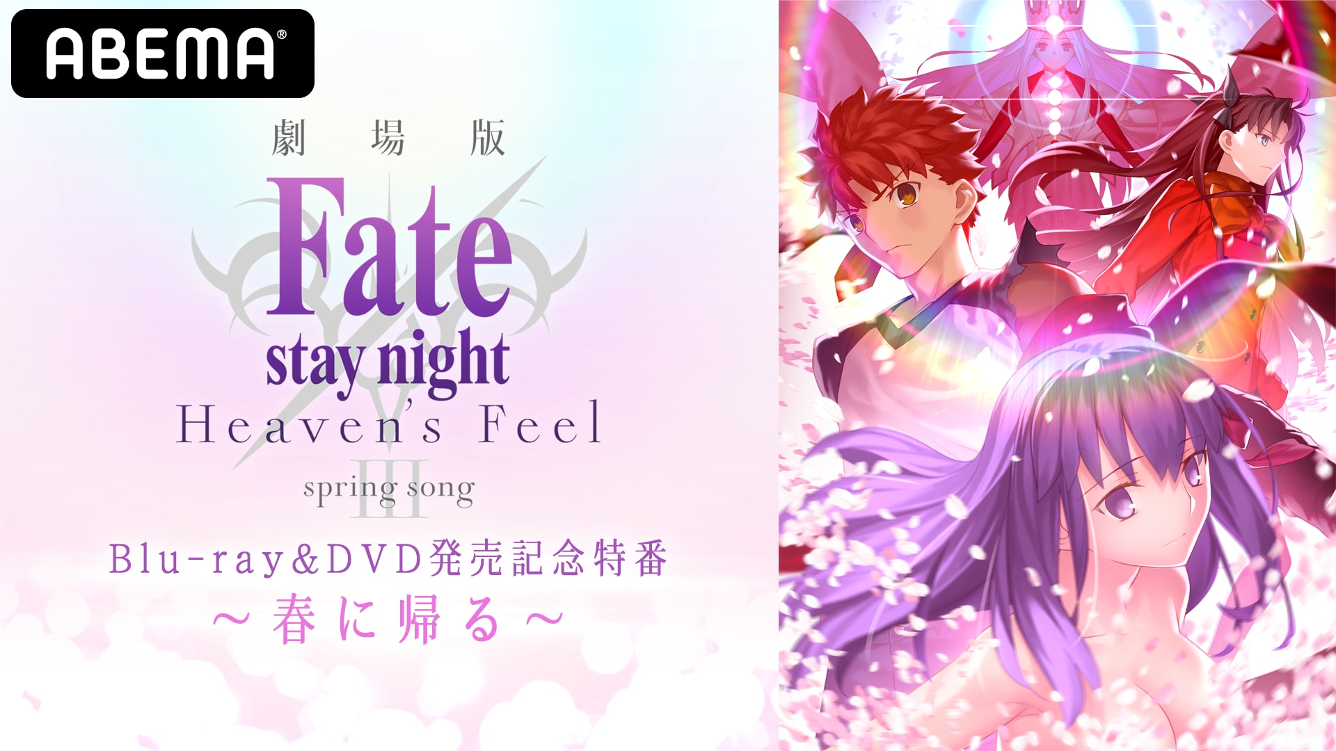 「Fate/stay night」17周年記念日に特番配信決定！杉山紀彰さん・下屋則子さんら豪華キャスト7名が「stay night」の魅力を語る