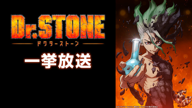 第２期地上波放送直前「Ｄｒ．ＳＴＯＮＥ　第１期」一挙放送