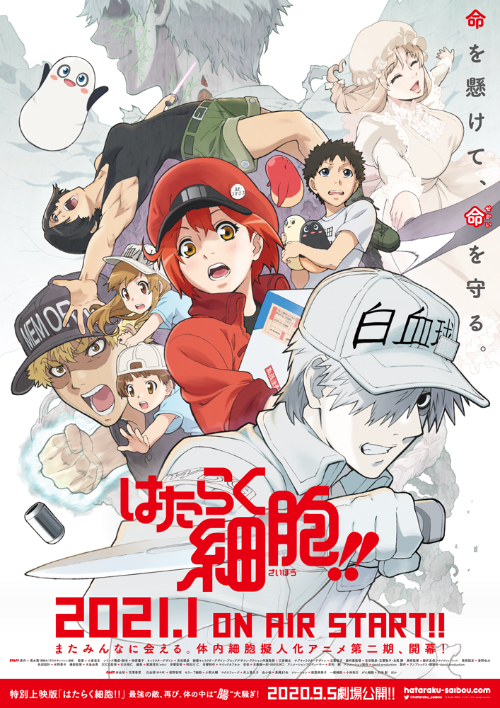 2021年 冬アニメ Filmarks期待度ランキング2位：「はたらく細胞!!」