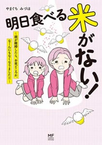 明日食べる米がない! ~親が離婚したら、お金どころか、なーんにもなくなりました!!~