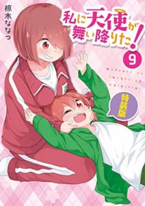 私に天使が舞い降りた!(9)特装版