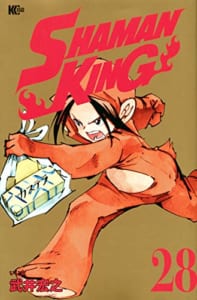 SHAMAN KING(28)