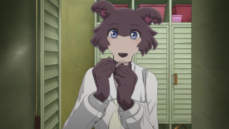 TVアニメ「BEASTARS」第2期最終回直前PVカット