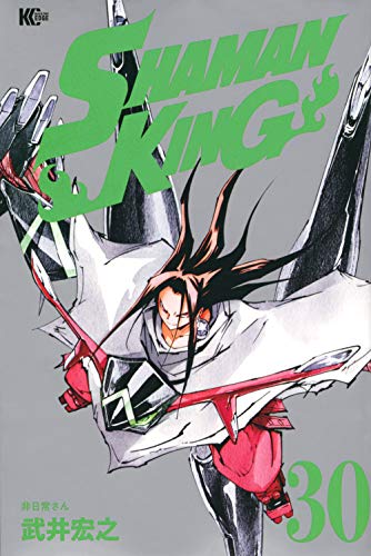 SHAMAN KING(30)