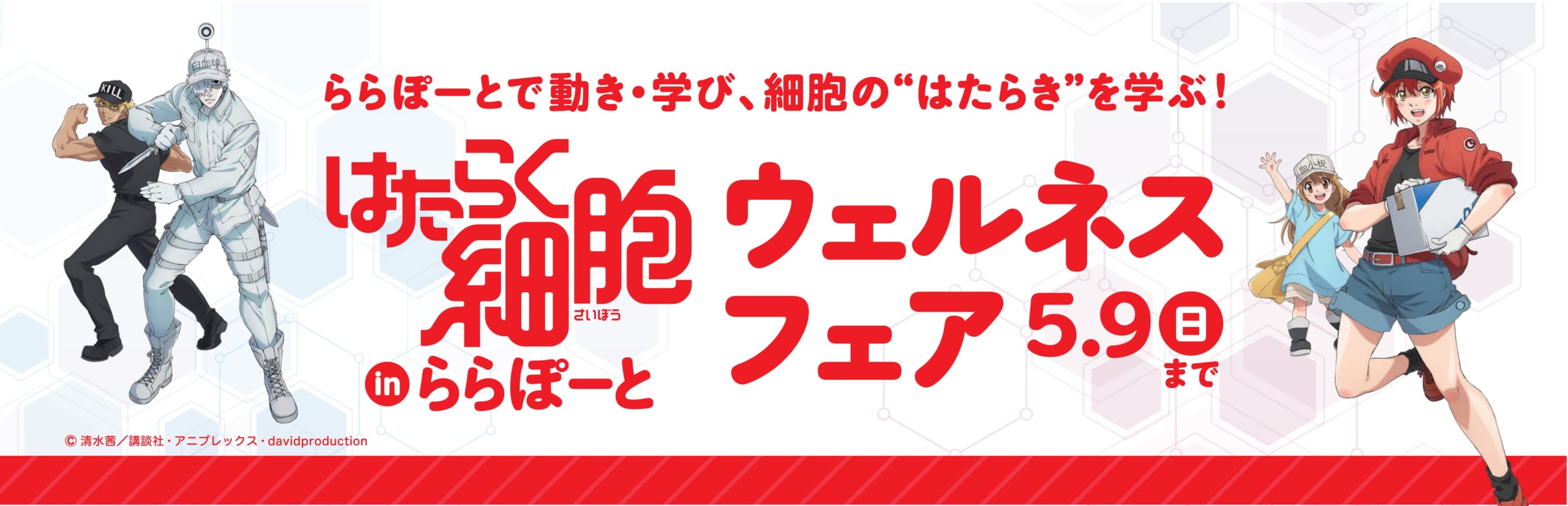 「はたらく細胞inららぽーと」ウェルネスフェア