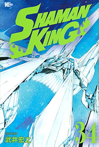 SHAMAN KING(34)