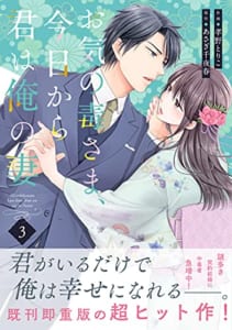 お気の毒さま、今日から君は俺の妻(3)