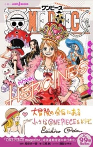 「ONE PIECE novel HEROINES」