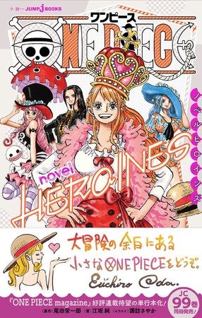 「ONE PIECE novel HEROINES」