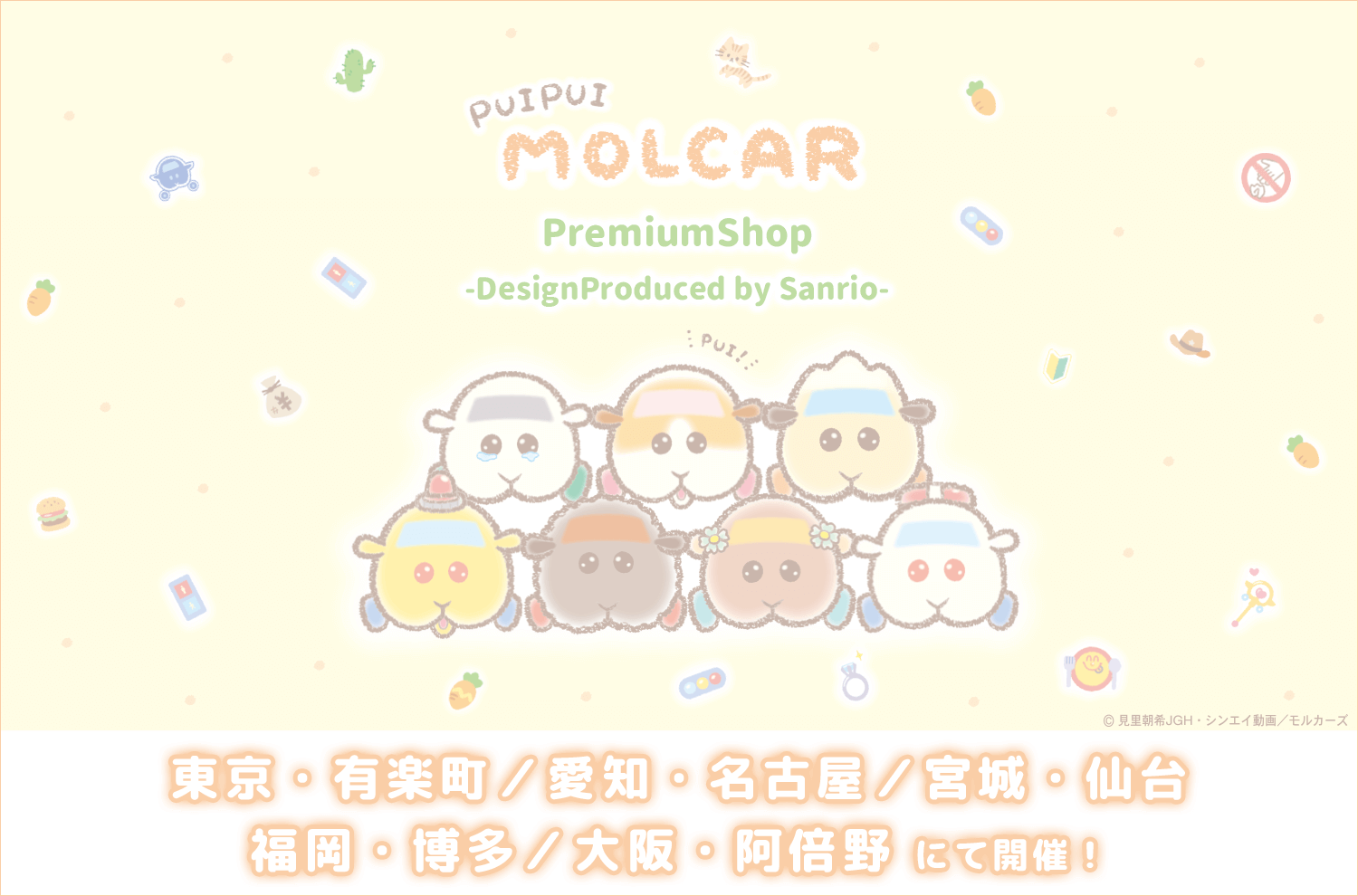 「PUI PUI モルカー PremiumShop -DesignProduced by Sanrio-」ビジュアル