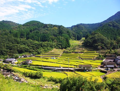 夏目友人帳×熊本県　～人吉・球磨での優しい時間　鬼ノ口棚田