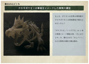 巡回展「ポケモン化石博物館」見どころ４