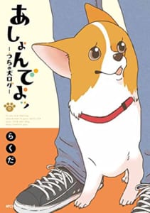 あしょんでよッ ~うちの犬ログ~(9)