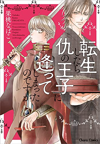 転生したら仇の王子に逢ってしまったのですが