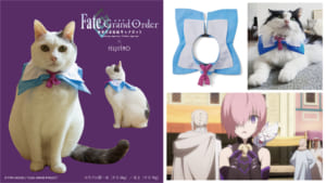 劇場版 Fate/Grand Order -神聖円卓領域キャメロット-×フェリシモ フォウ風なりきり猫用首輪