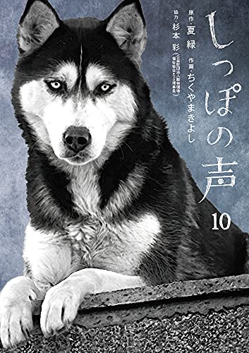 本日発売の漫画・コミックス新刊一覧【発売日：2021年8月30日】