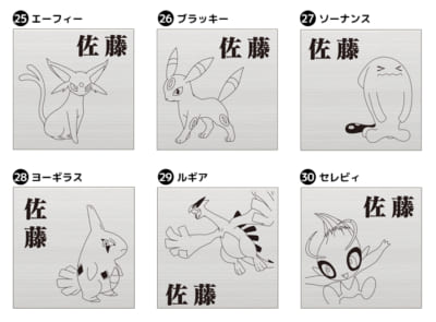 「Pokémon SIGN」ポケモン6