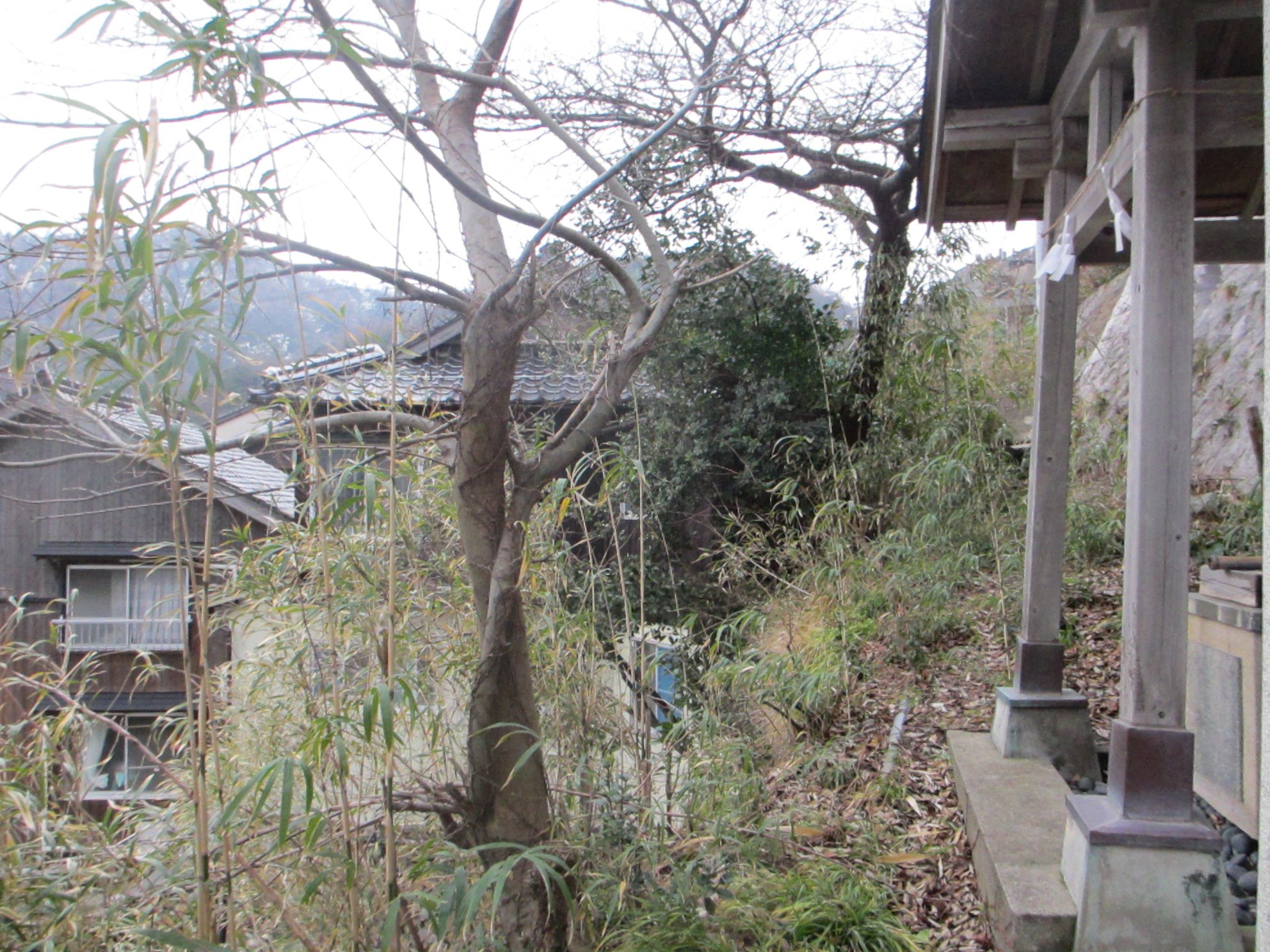 「Free!聖地巡礼」田後神社の先