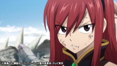 FAIRY TAIL（エルザ・スカーレット）