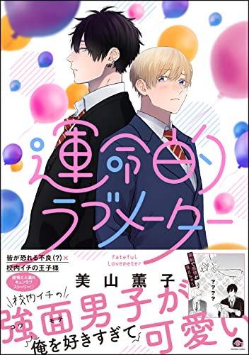 運命的ラブメーター【電子限定2Pかきおろし漫画付】