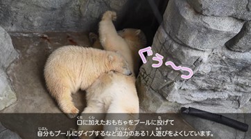 「なかよし親子のほのぼの動画」