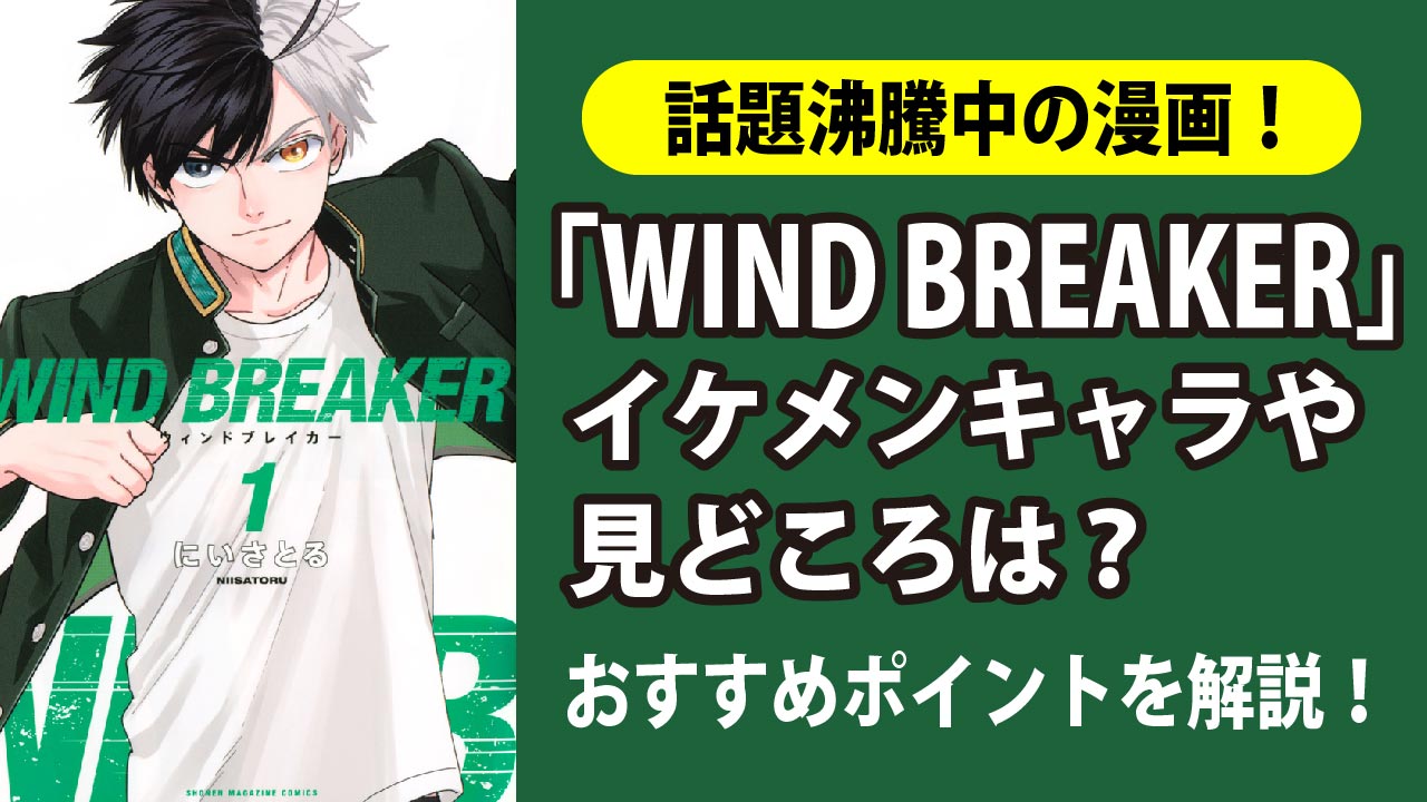 「WIND BREAKER」“街を守る”ヤンキー漫画が熱い！イケメンキャラや見どころは？