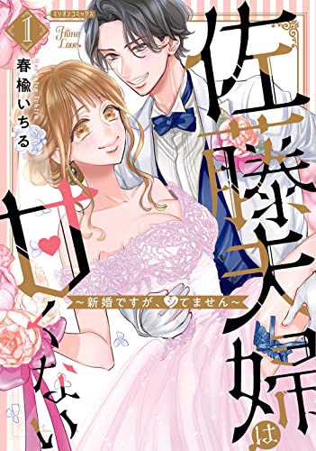 佐藤夫婦は甘くない~新婚ですが、シてません~1