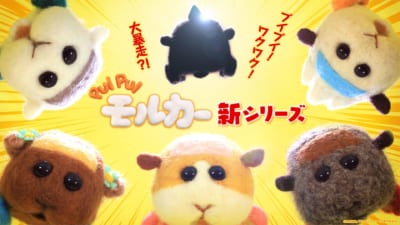 「PUI PUI モルカー」新シリーズ