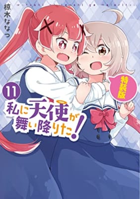 私に天使が舞い降りた!11 特装版