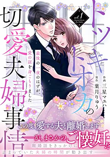 トツキトオカの切愛夫婦事情~最後の一夜のはずが、愛の証を身ごもりました~ 1