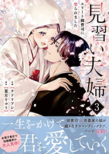 見習い夫婦~エリート御曹司に娶られました~ 3