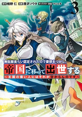 無駄飯食らい認定されたので愛想をつかし、帝国に移って出世する 3 ~王国の偉い人にはそれが分からんのです~