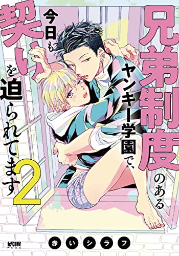 兄弟制度のあるヤンキー学園で、今日も契りを迫られてます 2 (2)