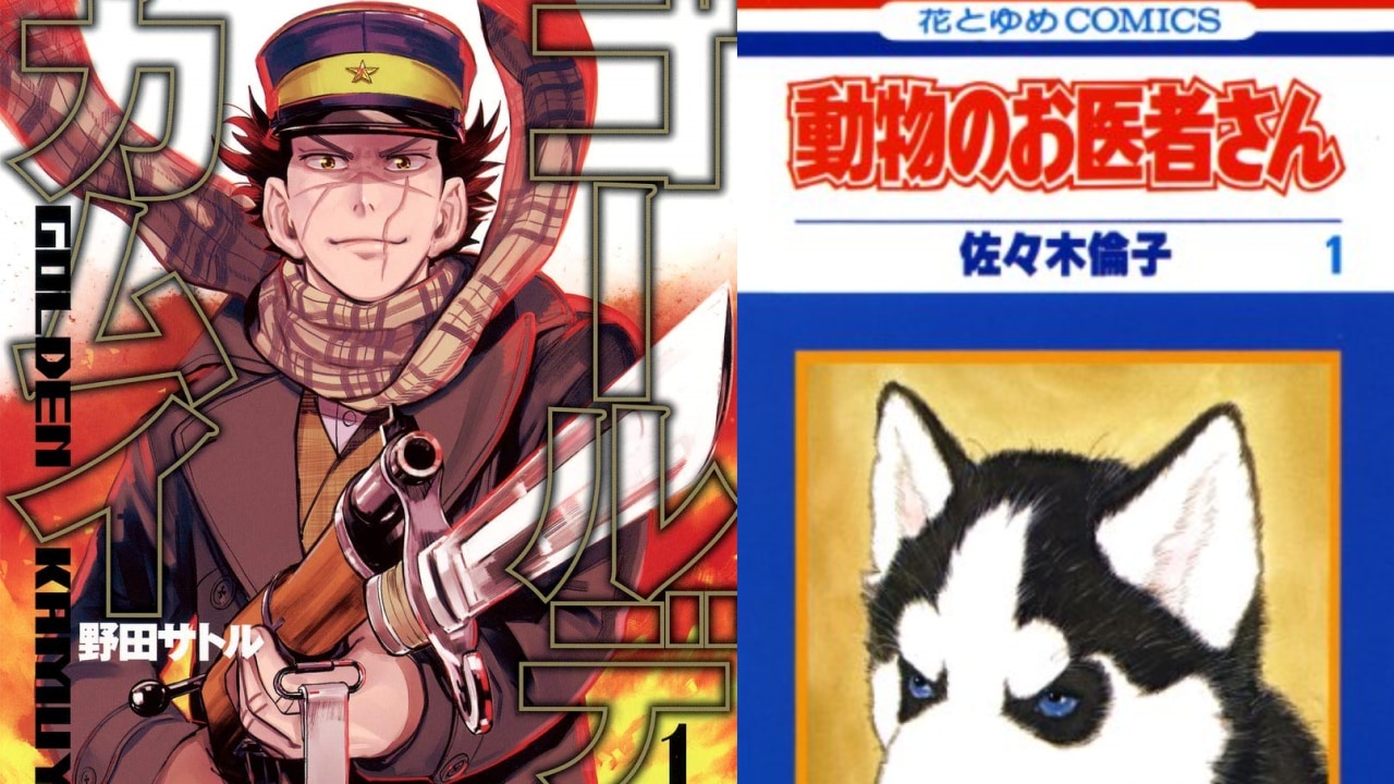 「ゴールデンカムイ」と「動物のお医者さん」は似てる…？意外な共通点に「変態は必須」