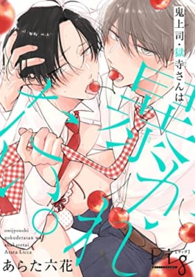 鬼上司・獄寺さんは暴かれたい。14