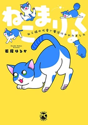 ねこまりょく