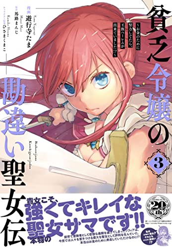 貧乏令嬢の勘違い聖女伝 ～お金のために努力してたら、王族ハーレムが出来ていました!?～ 3巻