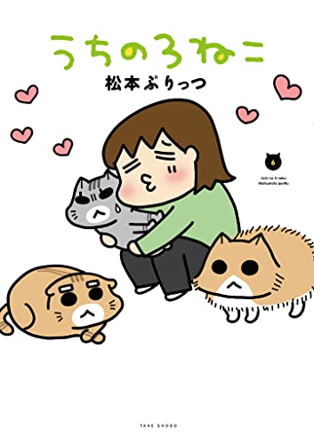 うちの3ねこ (6)