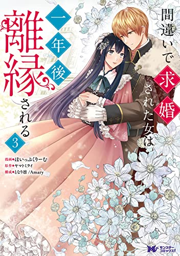 間違いで求婚された女は一年後離縁される(3)