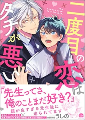 二度目の恋はタチが悪い【電子限定かきおろし漫画付】