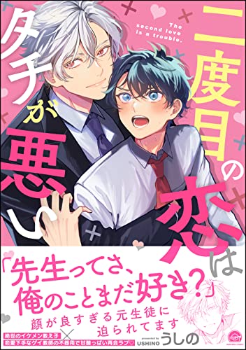 二度目の恋はタチが悪い【電子限定かきおろし漫画付】