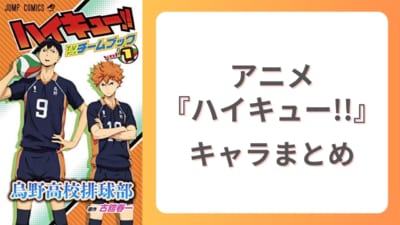 アニメ『ハイキュー!!』学校別で見るキャラクター情報・声優一覧＆出演作まとめ