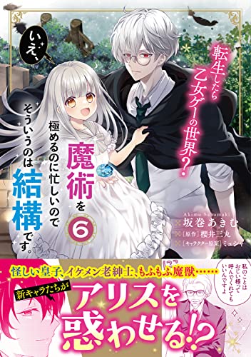 転生したら乙女ゲーの世界? いえ、魔術を極めるのに忙しいのでそういうのは結構です。(6)