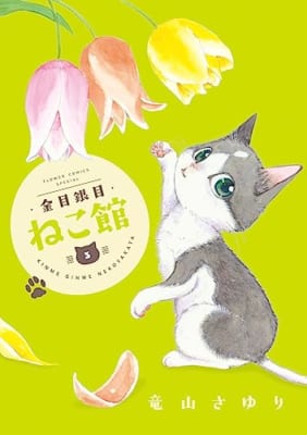 金目銀目ねこ館 (3)