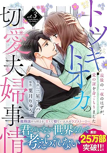 トツキトオカの切愛夫婦事情~最後の一夜のはずが、愛の証を身ごもりました~ 3